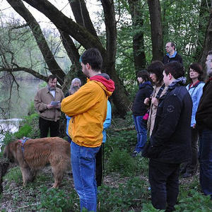 Emmausgang in den Ebelsberger-Traunauen