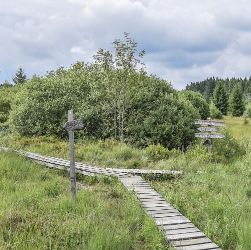 Neue Wege gehen