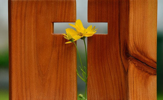 Fastenzeit & Ostern