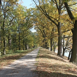 Trebon und Budweis