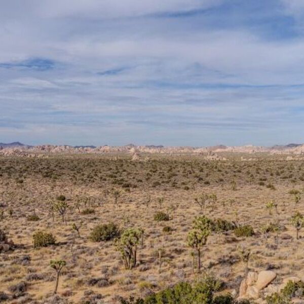 Desert