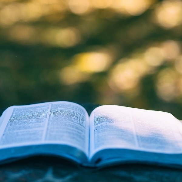 Bücher zum Thema Tod und Trauer / © Pexels/pixabay.com/Pixabay License Bücher zum Thema Tod und Trauer