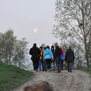 Emmausgang in den Ebelsberger-Traunauen
