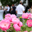 Empfang für Medienschaffende im Garten des Linzer Bischofshofs / © Diözese Linz / Appenzeller Empfang für Medienschaffende im Garten des Linzer Bischofshofs