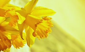 Ostern