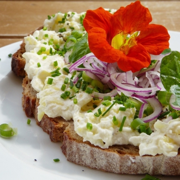 Ernährung / silviarita, www.pixabay.com Ernährung