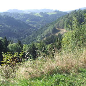 Bergmesse Burgruine Ruttenstein