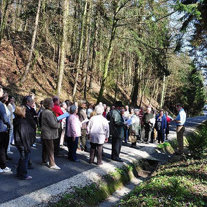 Kreuzwegandacht Ebelsberg-Pichling im Schiltenberg