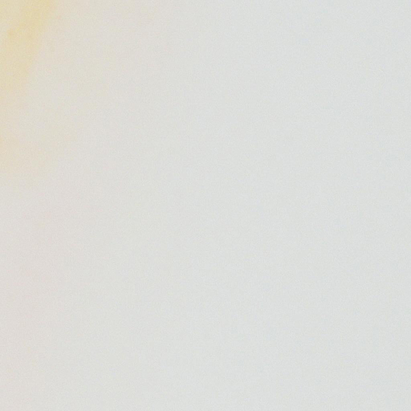 aufatmen-Archiv / © Artem Podrez/pexels.com/Pexels License aufatmen-Archiv