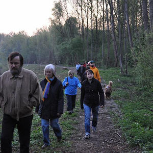Emmausgang in den Ebelsberger-Traunauen