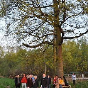 Emmausgang in den Ebelsberger-Traunauen
