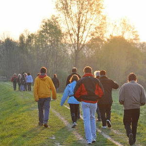 Emmausgang in den Ebelsberger-Traunauen